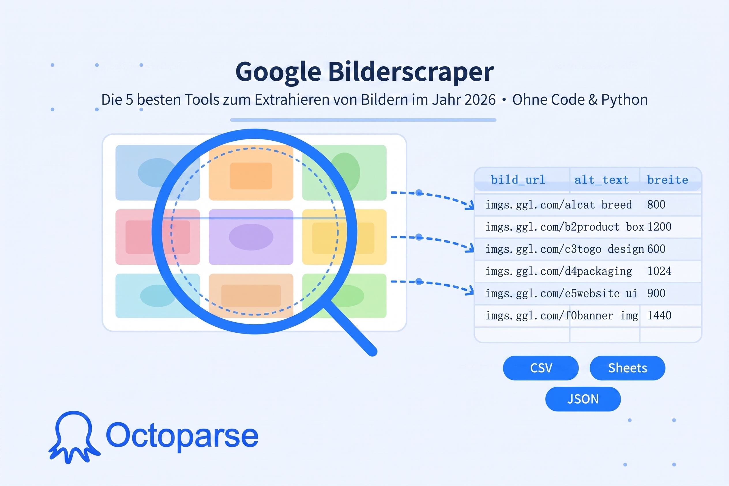 Google Bilder Scraper: Die 5 besten Tools (2026)