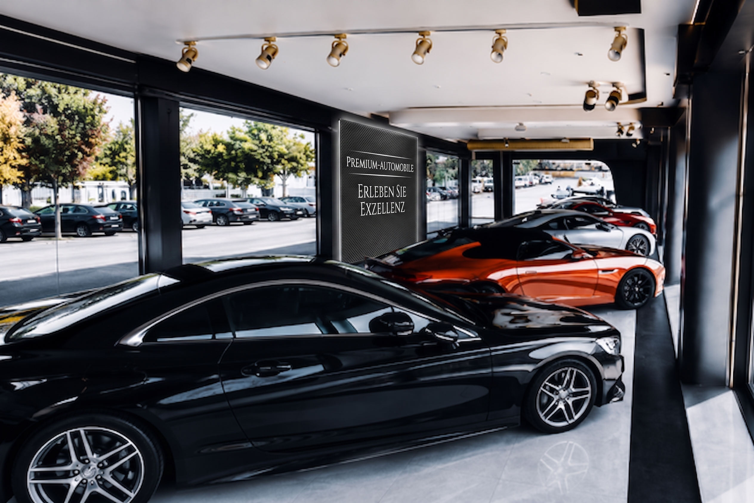 Erfolgsstory: Marktanalyse Software bei Colserauto
