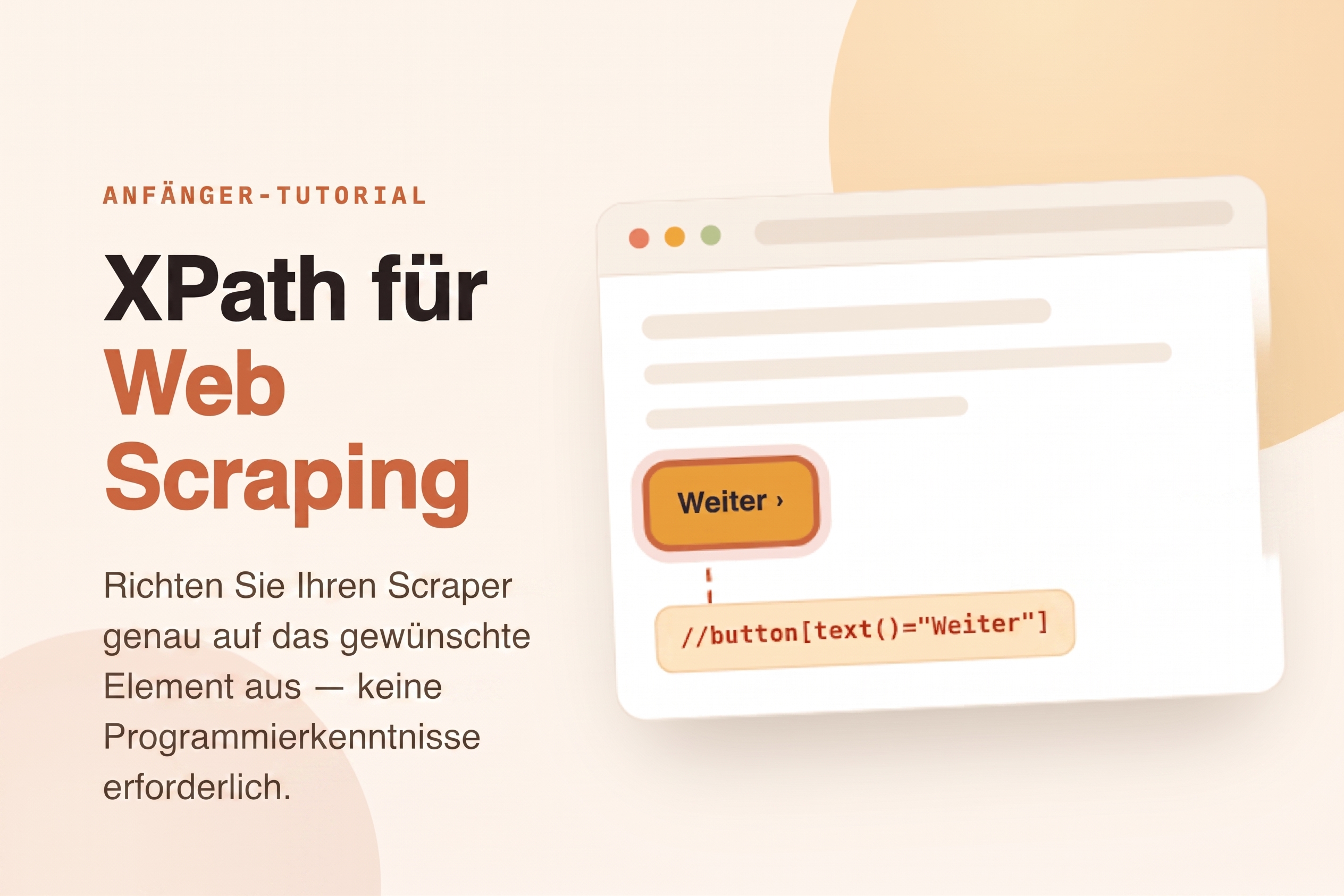 XPath beim Web Scraping: Ein Einstieg für Anfänger