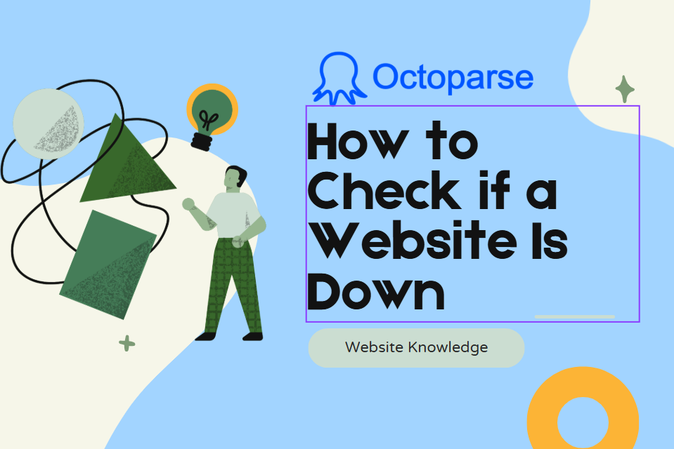 How to Check if a Website Is Down (And What to Do About It)