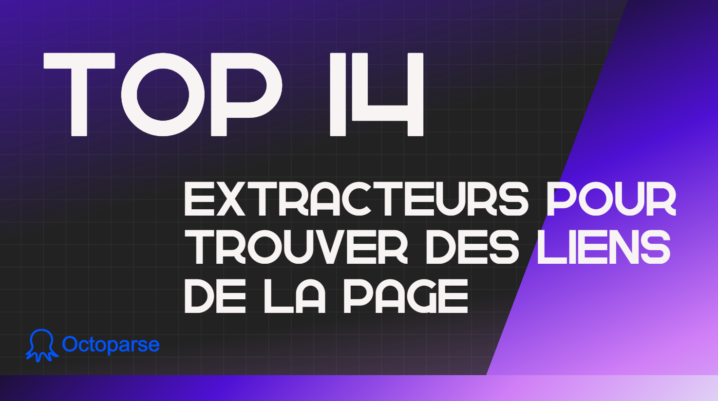 TOP 14 extracteurs pour trouver des liens de la page
