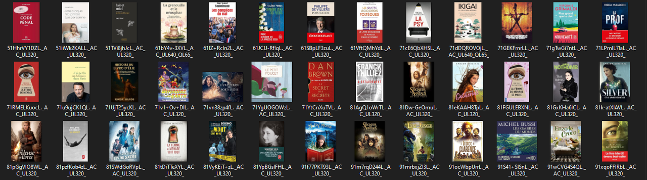 les images en masse collectées par Octoparse