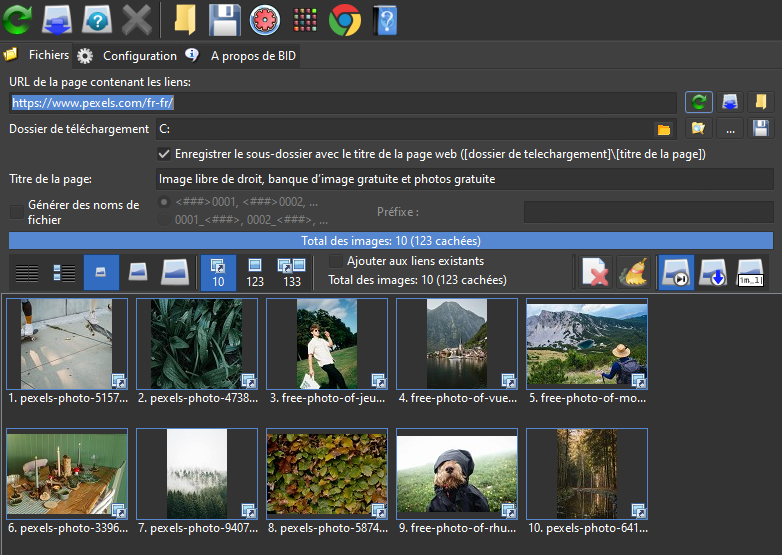 Utiliser Bulk Image Downloader pour télécharger des images