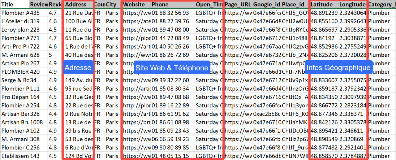 les données collectées depuis Google Maps par Octoparse
