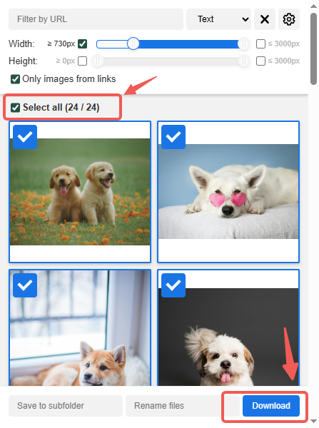 Cofigurer Extension Image Downloader