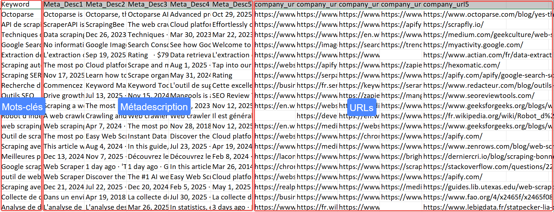 Le résultat collecté de Google avec Octoparse