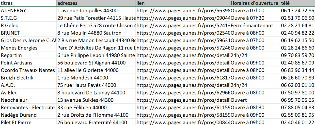 Données exportées des Pages Jaunes par Octoparse